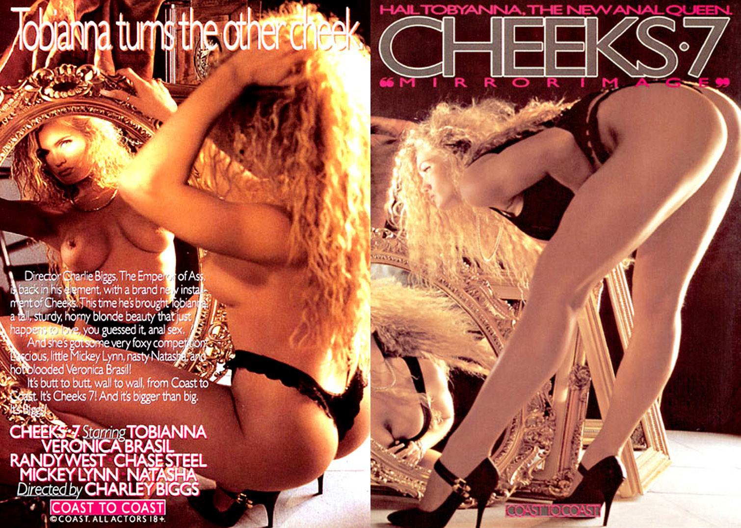 Cheeks 7 - Mirror Image - 1993 - Charles Grey