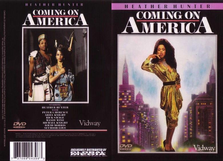 Coming on America - 1989 - Joe Sarno