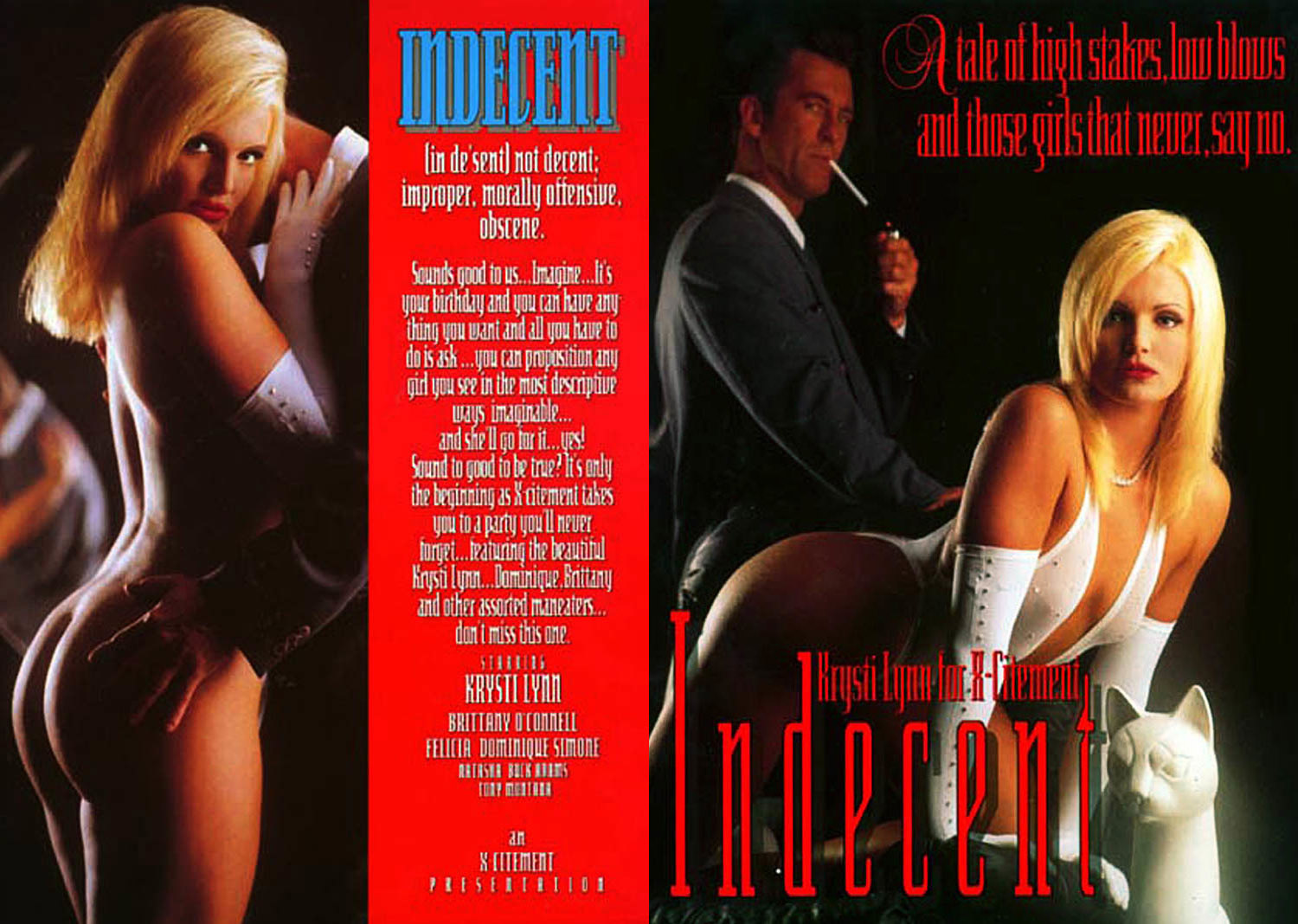 Indecent - 1993