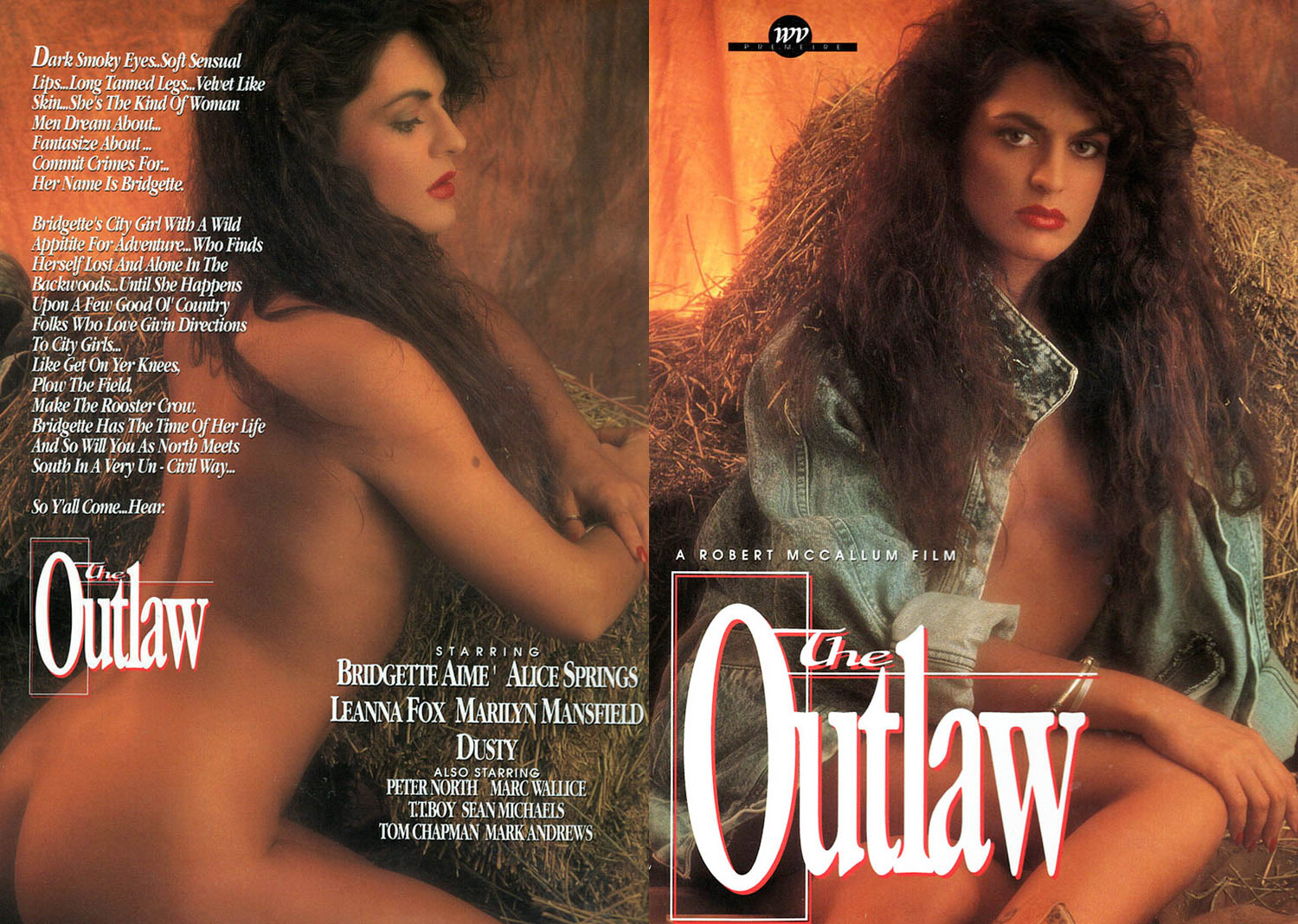 The Outlaw - 1991 - Robert McCallum