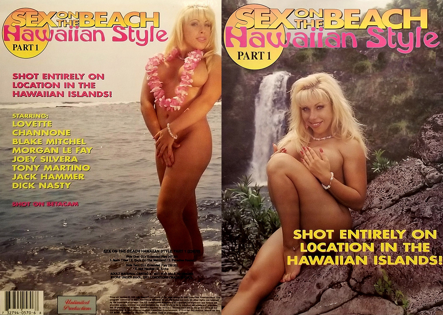 Sex on the Beach Hawaiian Style 1 - 1995 - Damion Roberts