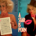 A Star Is Porn – 1985 – Helen Fuji