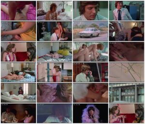 Frankie and Johnnie Were Lovers – 1973 – Alan B. Colberg_thumb