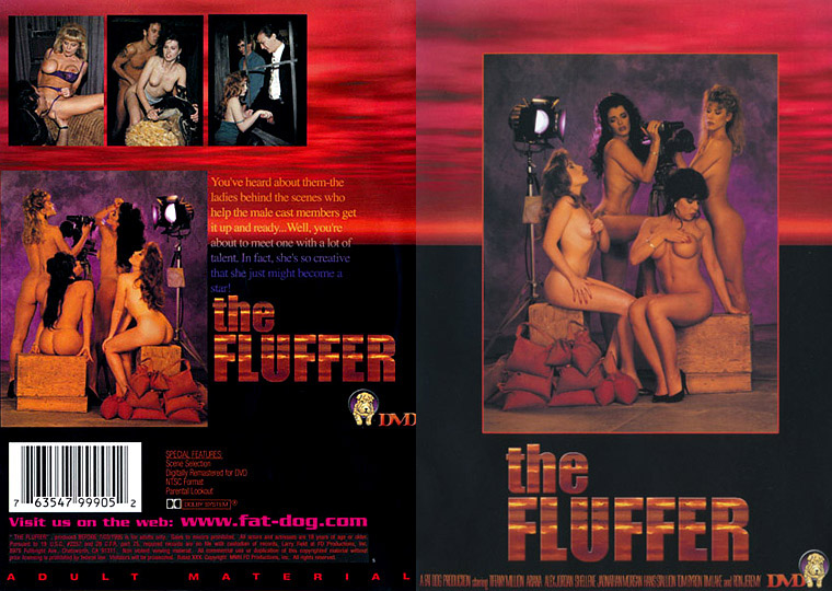 The Fluffer – 1993 – Henri Pachard