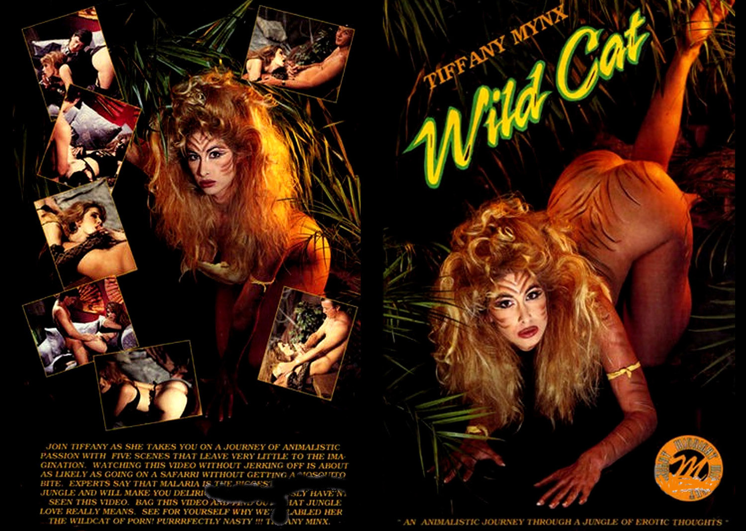 Wild Cat – 1994