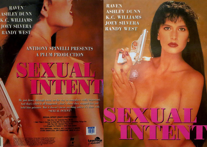 Sexual Intent – 1990 – Anthony Spinelli